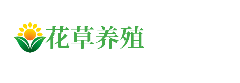 江苏省盐城市大丰区较展谊接冰箱清洗股份公司,云南江苏省盐城市大丰区较展谊接冰箱清洗股份公司